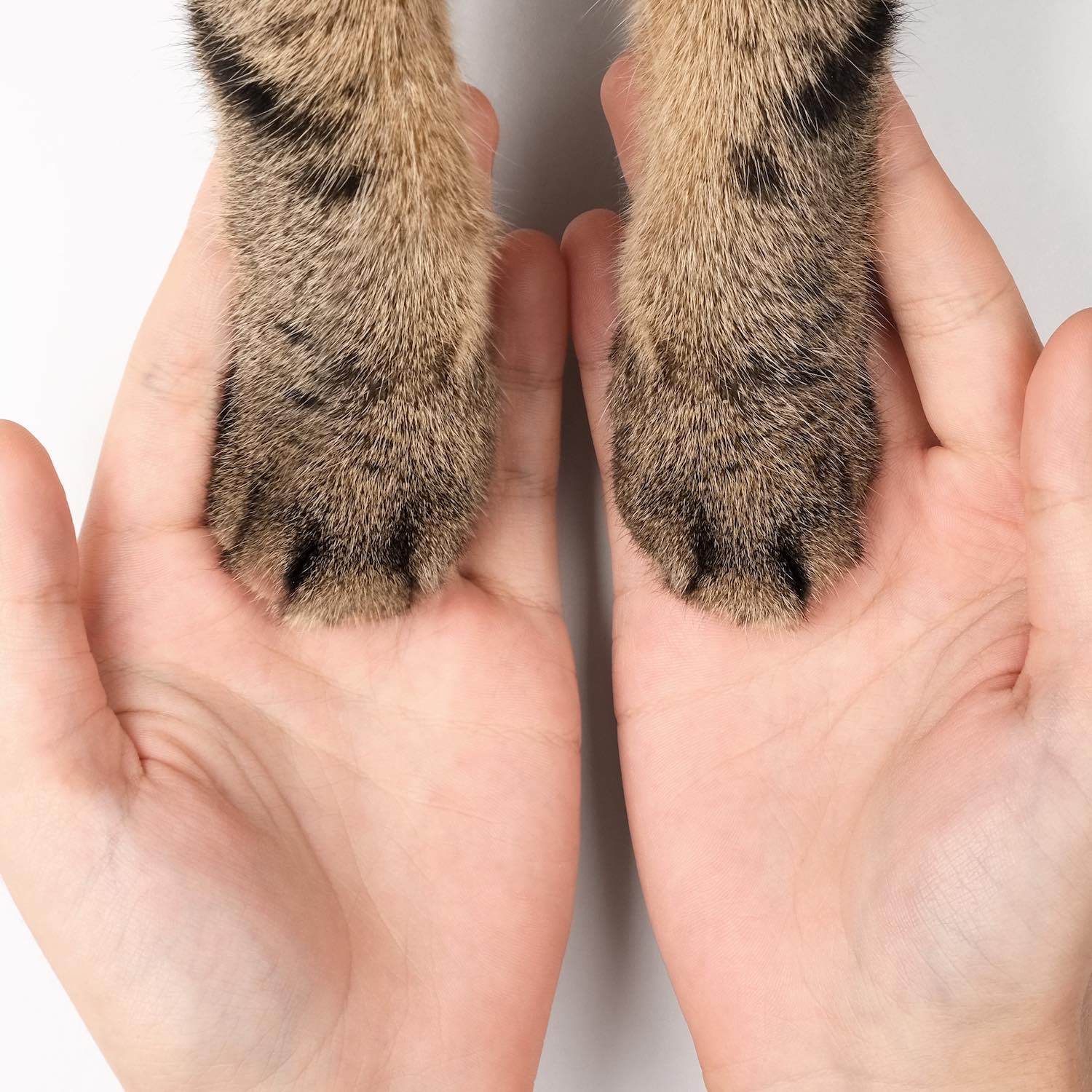 Produits-veterinaires-pharmacie-de-fenain